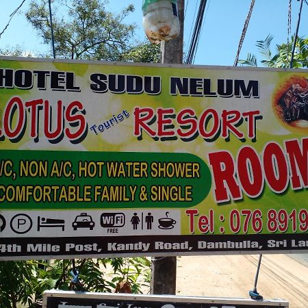 Lotus Inn Tourist Resort Dambulla Eksteriør billede