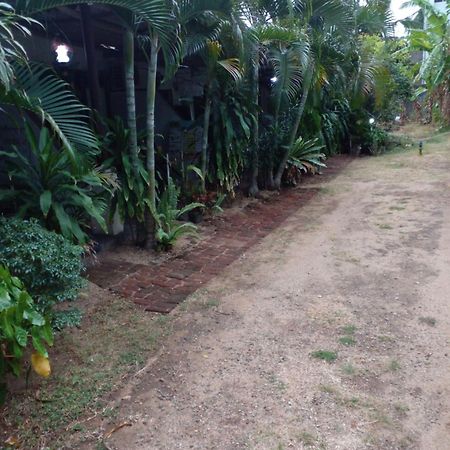 Lotus Inn Tourist Resort Dambulla Eksteriør billede