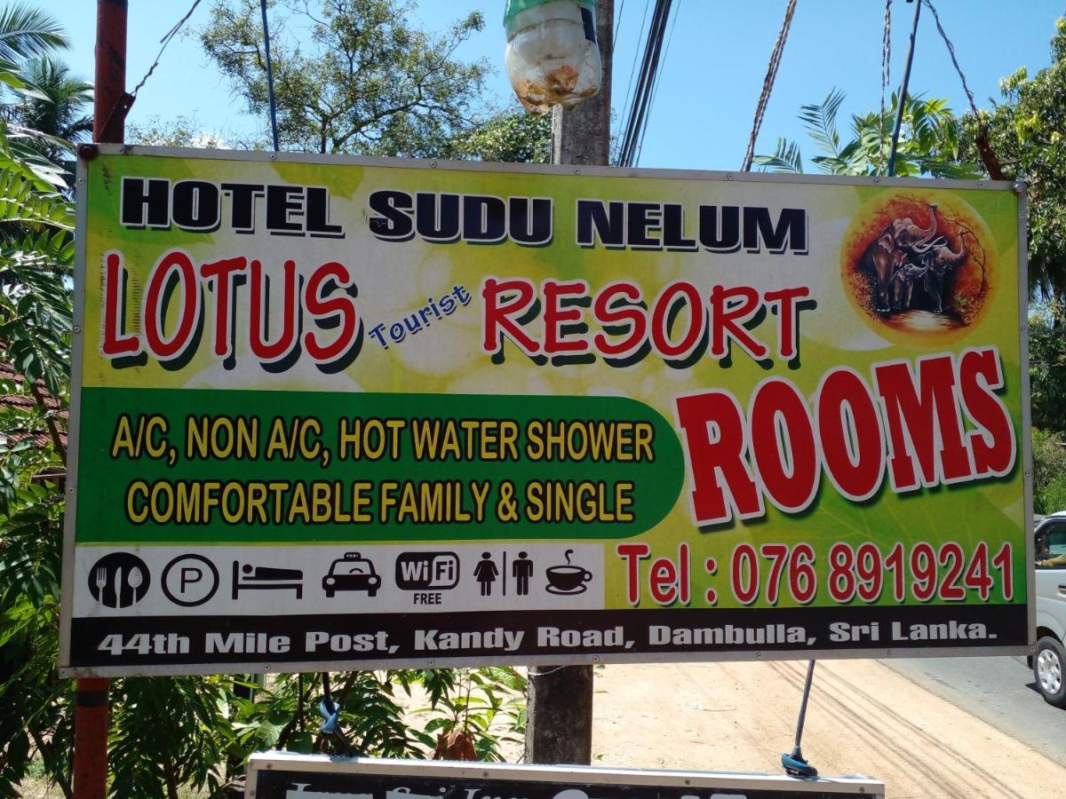 Lotus Inn Tourist Resort Dambulla Eksteriør billede