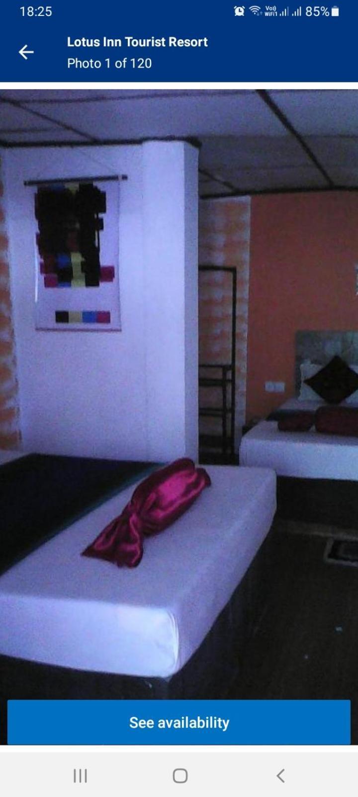 Lotus Inn Tourist Resort Dambulla Eksteriør billede