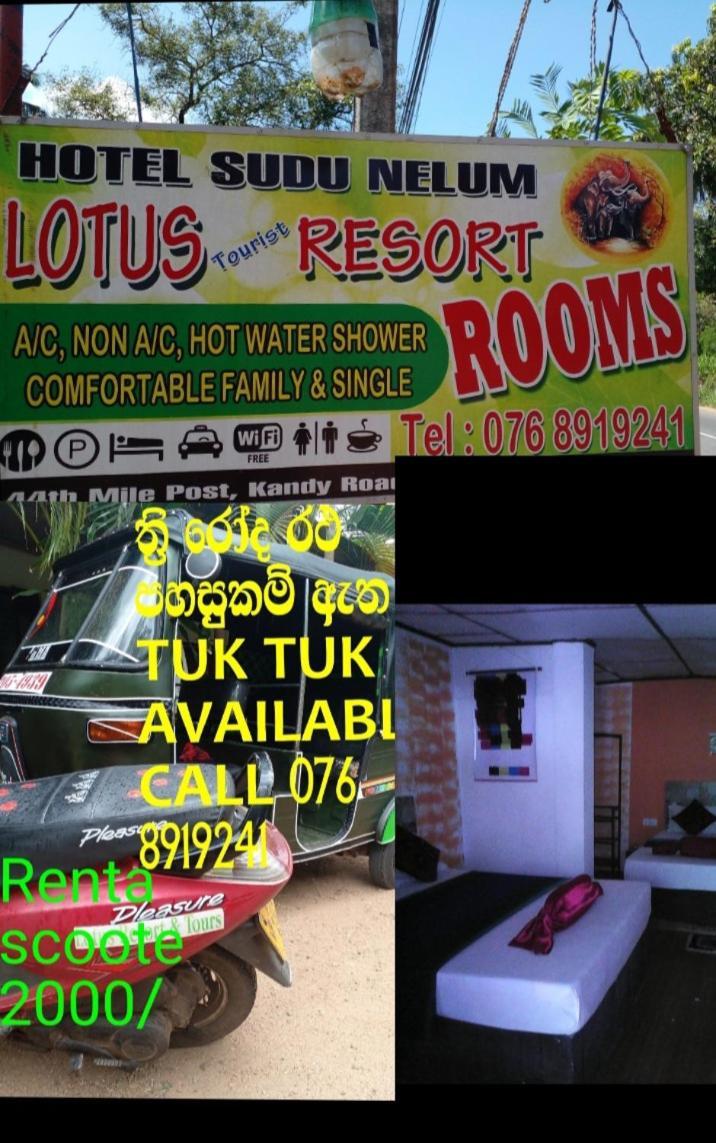 Lotus Inn Tourist Resort Dambulla Eksteriør billede