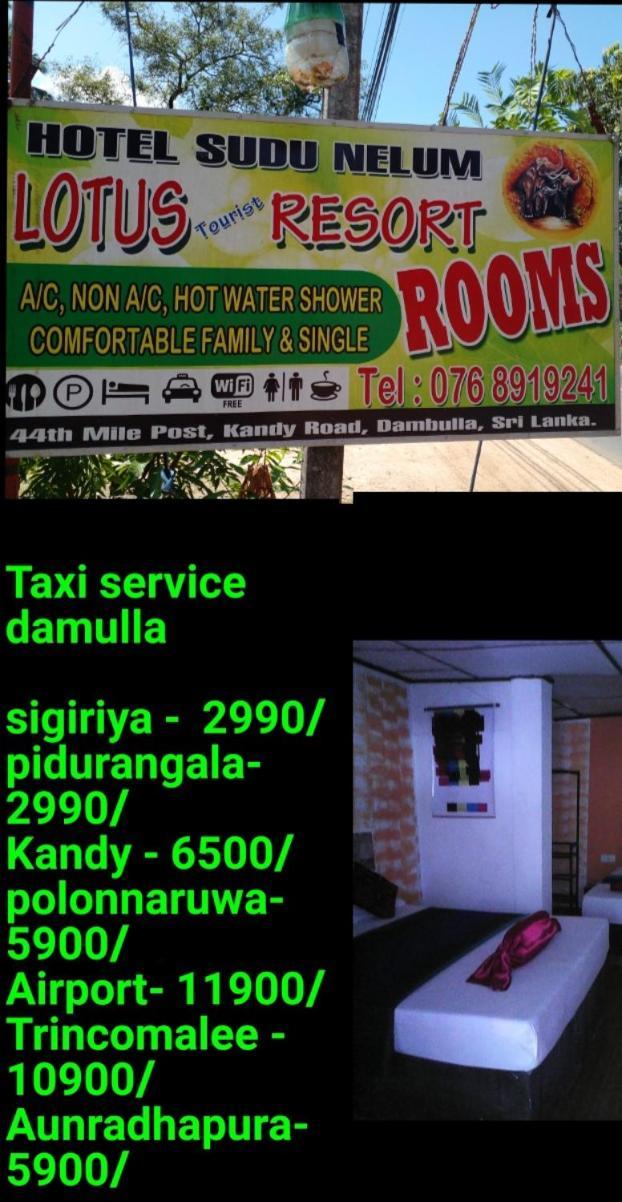 Lotus Inn Tourist Resort Dambulla Eksteriør billede