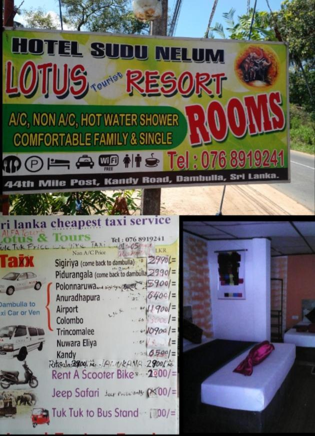 Lotus Inn Tourist Resort Dambulla Eksteriør billede