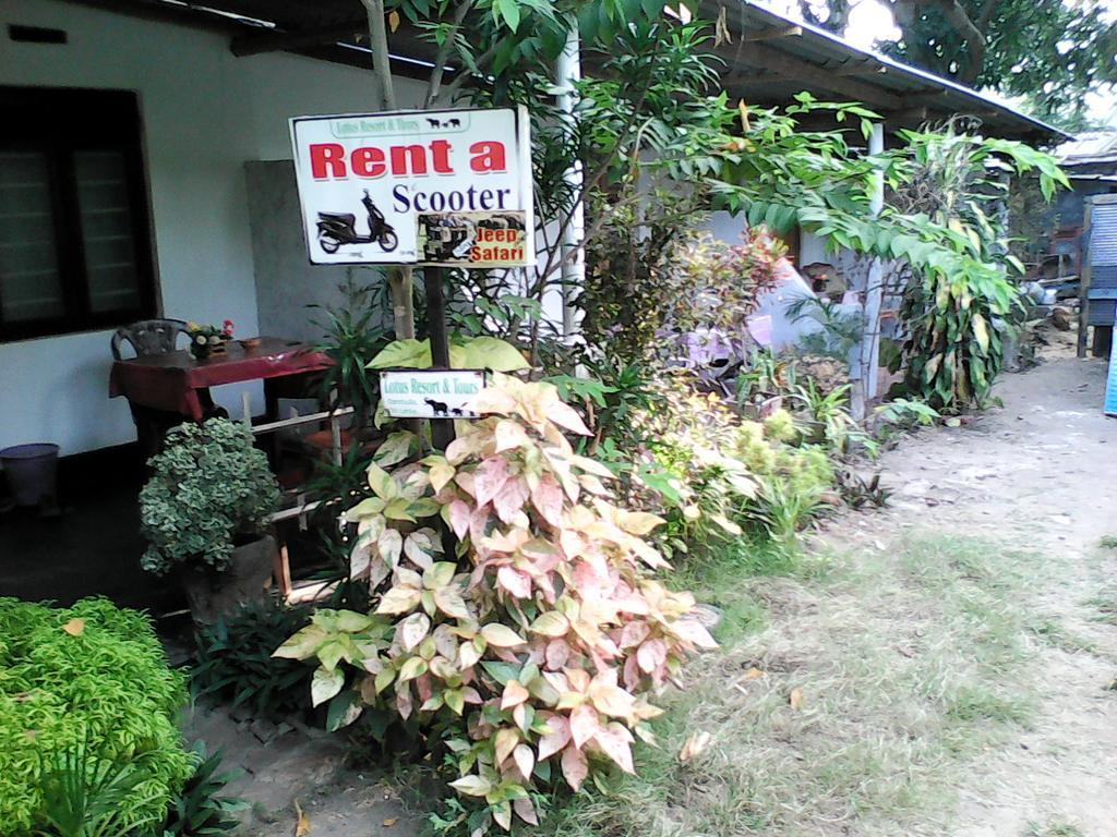 Lotus Inn Tourist Resort Dambulla Eksteriør billede