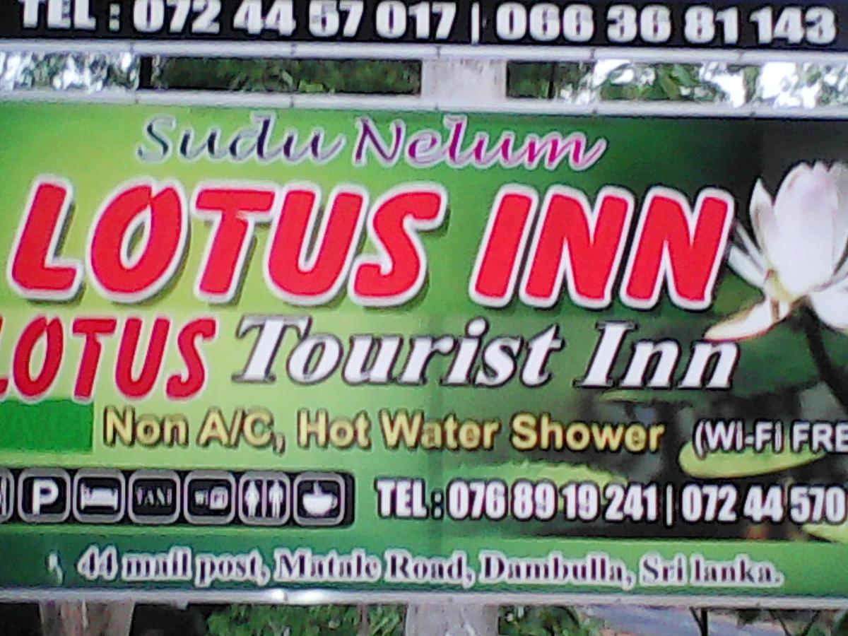 Lotus Inn Tourist Resort Dambulla Eksteriør billede