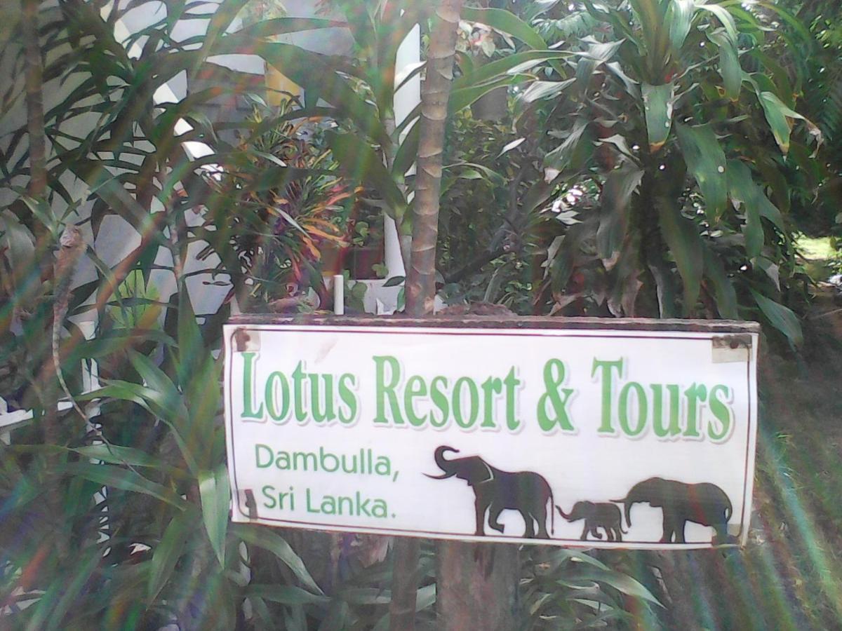 Lotus Inn Tourist Resort Dambulla Eksteriør billede