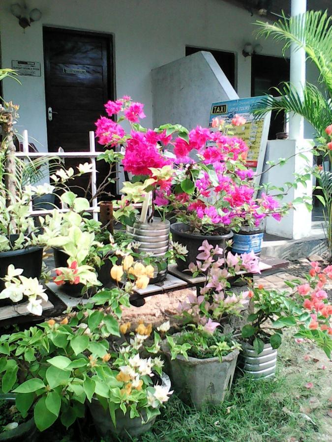 Lotus Inn Tourist Resort Dambulla Eksteriør billede