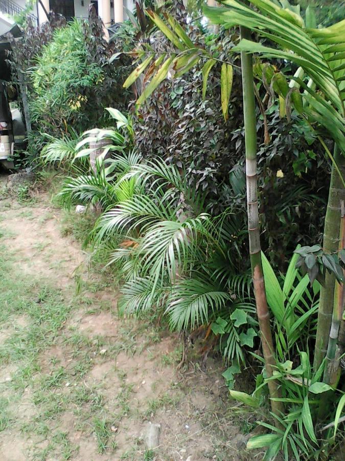 Lotus Inn Tourist Resort Dambulla Eksteriør billede