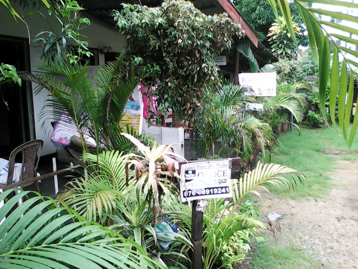 Lotus Inn Tourist Resort Dambulla Eksteriør billede